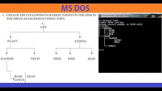 Tree Structure Directory and  Files Create in MS DOS