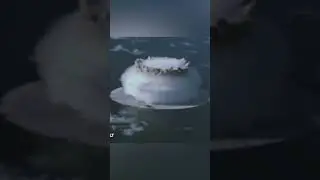 Закрытый 