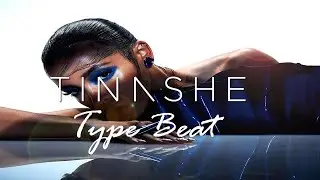 Danger Zone - Tinashe Type Beat