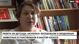 Мы в ответе за тех кого приручили
