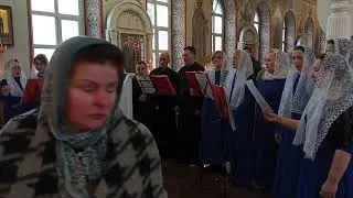 Хор храма Александра Невского г.Нижний Новгород. Видеозапись Богослужения.