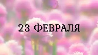 23 февраля