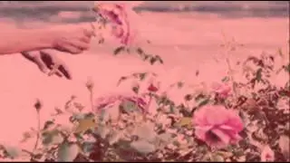 ◣dirty secret◥ ; JBFF trailer♦