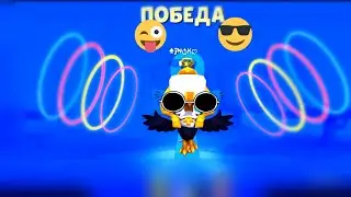 Гайд на Стива в игре Zooba