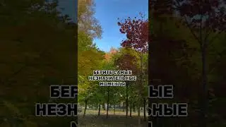 Как за 10 секунд понять, что надо делать осенью