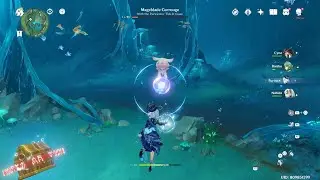 Genshin Impact How To Kill Mageblade Corrouge