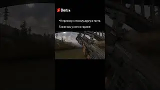 Коротко о тихих друзьях