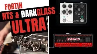 Neural DSP - Fortin NTS and Darkglass Ultra (Demo)