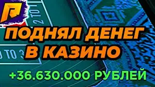 сдал экзамен + залетел в казино / казино радмир рп / радмир рп / радмир крмп /