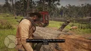 Red dead 2