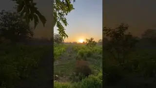 Yeh Zindagi Best hai  | Day-11 India tour #india #travel #nomad #ytshorts #shorts