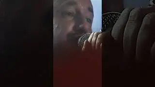 Дима Корсо - Дельфины тонут голыми #димакорсо