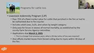USDA Wildfire and Disaster Assistance programs 2-23-24