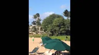 Trilogy catamaran location