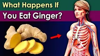 What Happens If You Eat Ginger Daily? Good or Bad?