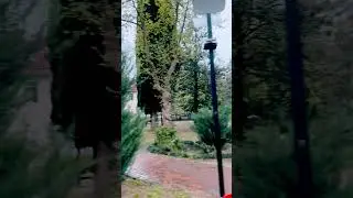 Лазаревское Сочи Киров Сквер- прогулка под дождём ☔️☔️☔️ 8.05.23