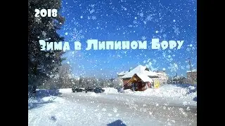 Липин Бор, зима 2018 год
