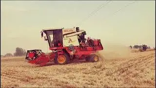 Watching the mowing of wheat观刈麦
