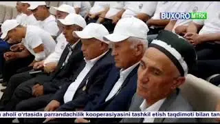 #Бухоро#давлат#ўрмон#хўжалигида#тадбир