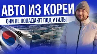 KOREA CARS UP TO 160 HP: SM6, XM3, TRAILBLAZER, CASPER, MINI, MORNING, KORANDO, TRAX | DANGEROUS ...
