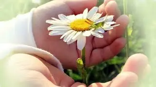БУДЬТЕ ДОБРЕЕ И БЕРЕГИТЕ ДРУГ ДРУГА🌺Красивое Музыкальное Видео Пожелание Вам, мои друзья🌸💐🌺