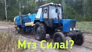 Уборка Картофеля!! Комбаин Анна З644 и Трактор Мтз 80.1