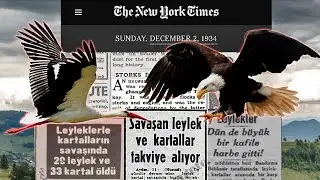 Kartalların ve Leyleklerin Savaşı (Aydın'da yaşanan ilginç savaş)