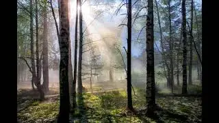Михаил Пришвин. Лисичкин хлеб