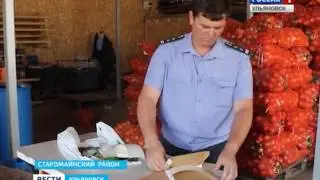 Россельхознадзор   ловушки в Старомайнском районе   эфир 23 07 2016 года