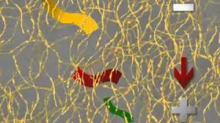Electrophoresis (2008)