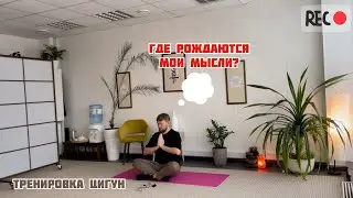 #10 Тренировка цигун. Где рождаются мои мысли?