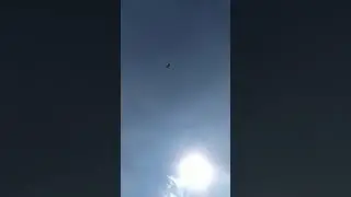25 июля 2020 г.