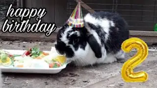 28 FÉVRIER 2019 : ANNIVERSAIRE EDI 🎁🎉🎁🎊