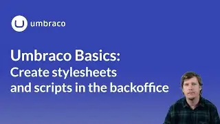 Umbraco Basics: Create Stylesheets and Scripts in the backoffice