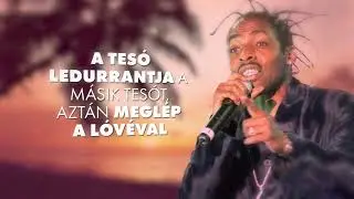 Coolio C U when you get there by gBIRD Lyrics