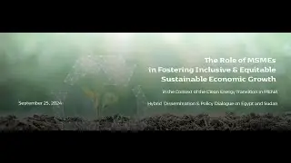 The Role of MSMEs in Fostering Inclusive and Equitable Economic Growth -  Clean Energy Transition