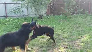 Два дебила это сила))