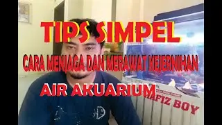 tips simpel menjaga kejernihan air akuarium