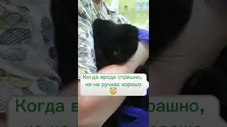 Когда страшно, но на ручках - хорошо