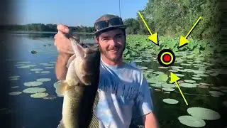 Big Bass and Lily Pads