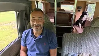 Van Camping With Dogs In Rain Forest