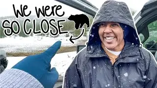 family road trip: can't believe we got this lucky
