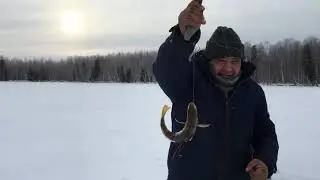 Зимняя рыбалка на озере Ловасен Эмтор.  (Модернизированный Мухтарчик на таёжной тропе) 2023 год