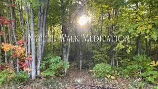 Autumn Nature Walk
