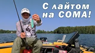 ОГРОМНЫЙ СОМ НОСИТСЯ ЗА ЭТОЙ ПРИМАНКОЙ!!!