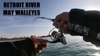 May Walleye on the Detroit River