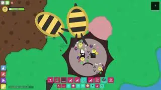 florr.io - Maze Build