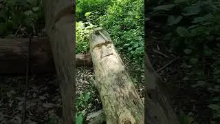 Центр Славянского Обычая