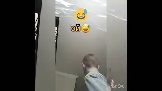 ой медведи😅😅😅😅