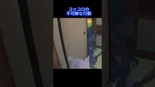 コッコロの不可解な行動  #funny#切り抜き #gaming